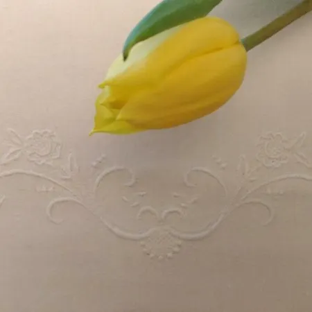 La Pecora Nera Affittacamere 4*