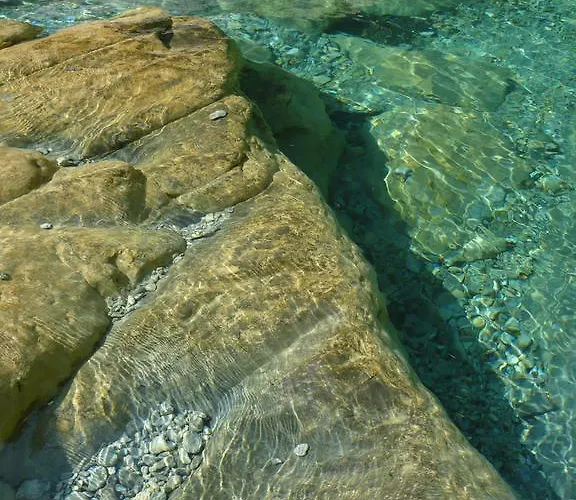 La Pecora Nera 게스트하우스